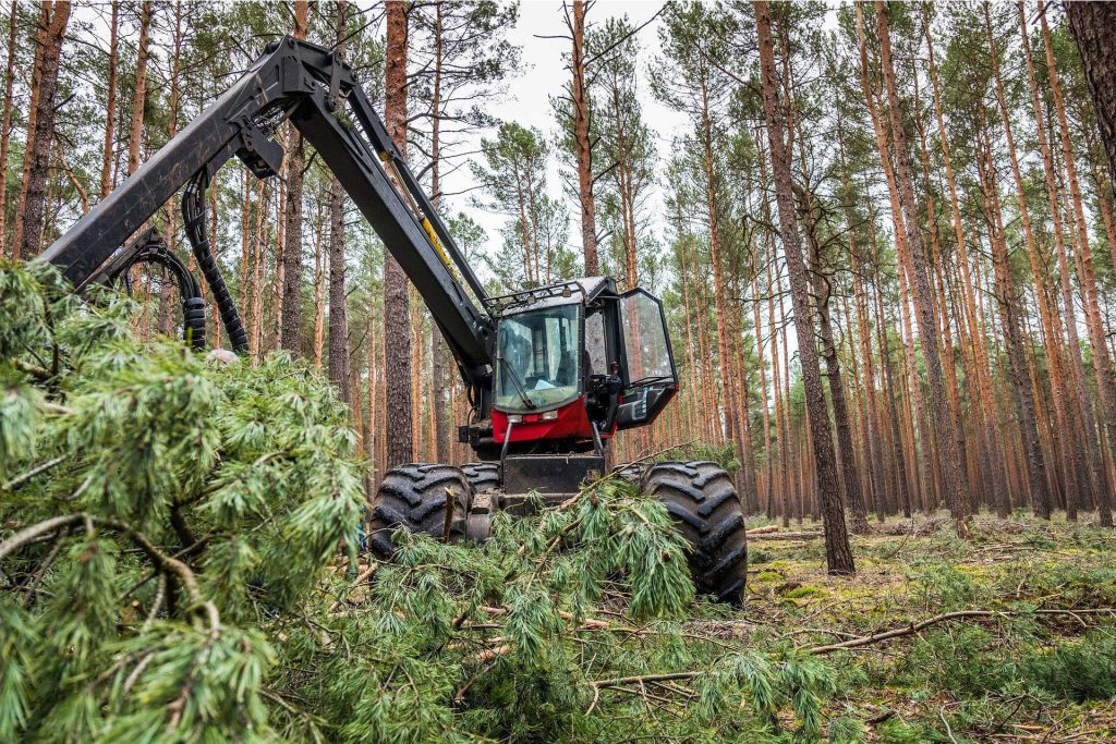 Chantier en forêt, avec une machine qui broie des arbres.